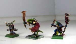 Saurus Warrior and Skink Priests
